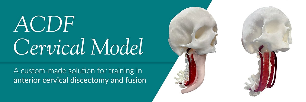 A New STUD Improving Surgical Training for Cervical Spine Operations